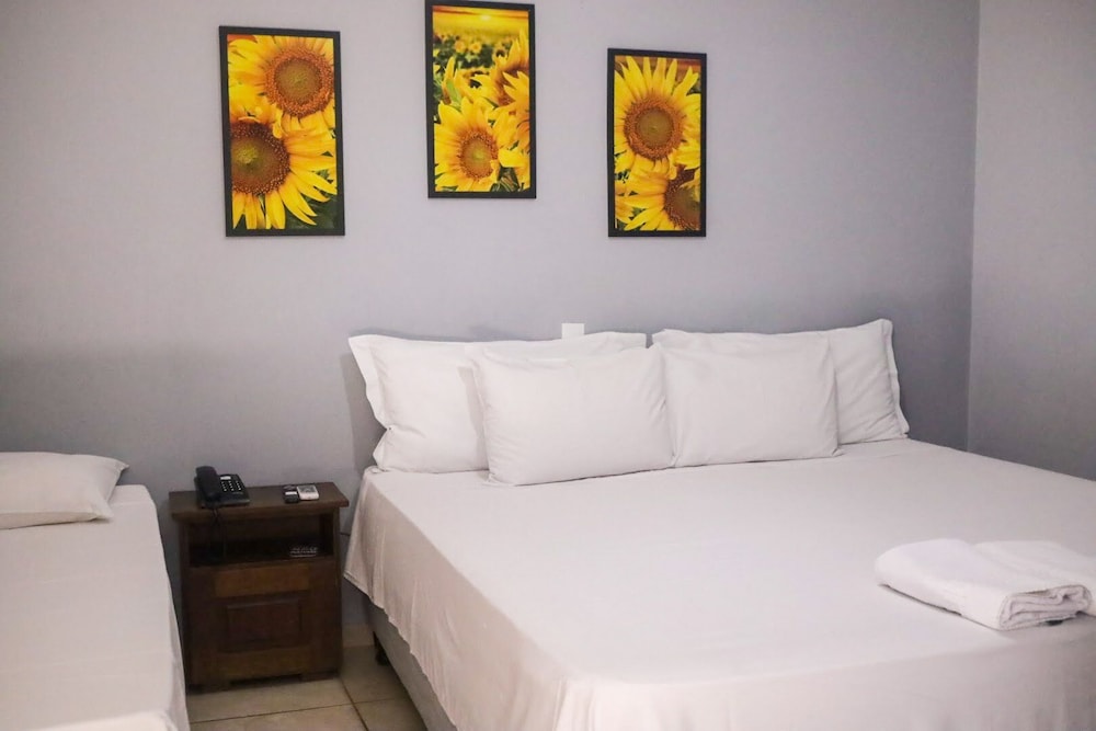Shellter Hotel 26/50