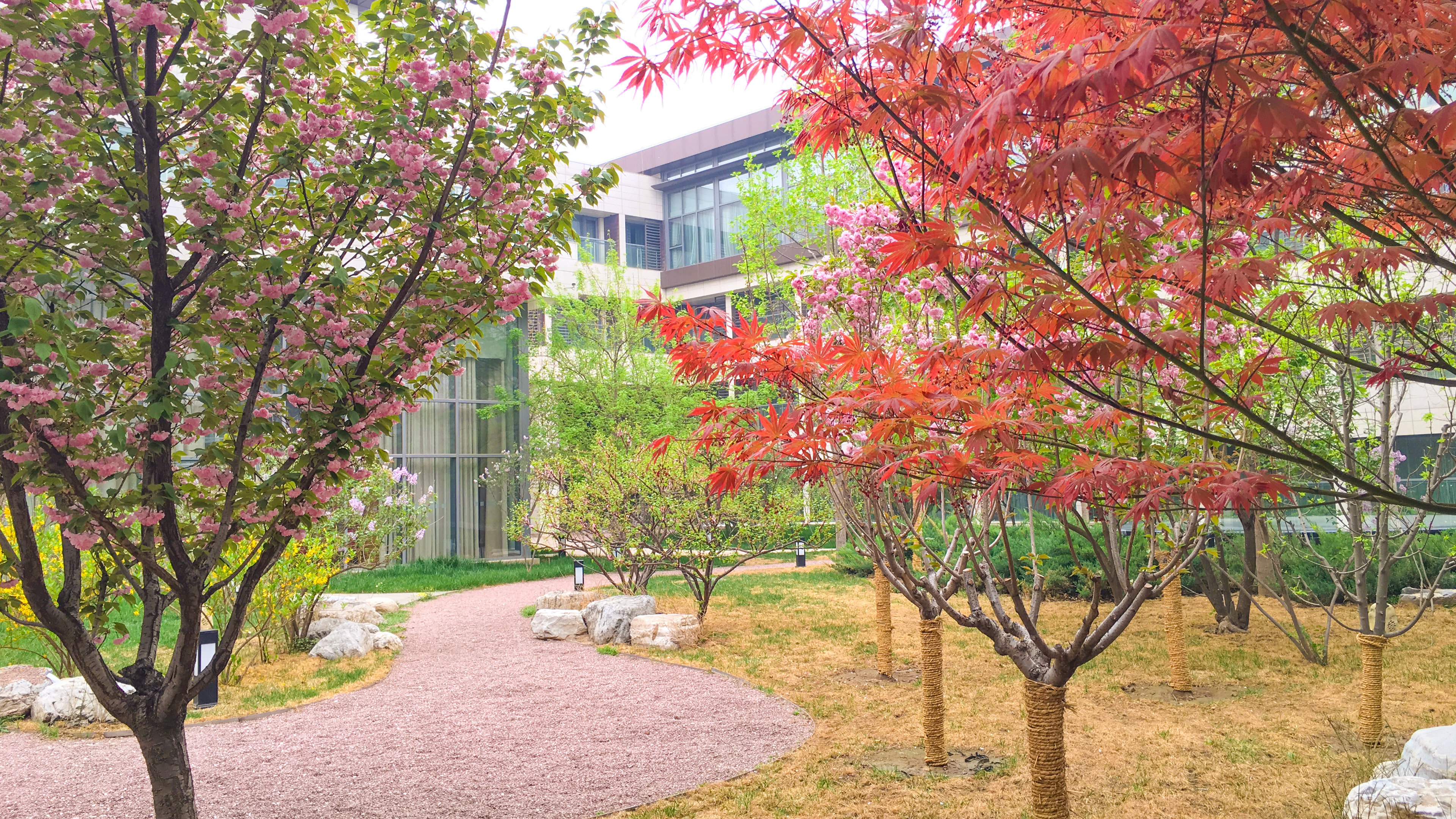 Holiday Inn Beijing Shijingshan Parkview 73/78