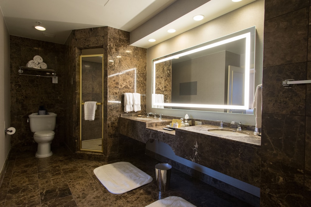 Royal Sonesta Harbor Court Baltimore 20/45