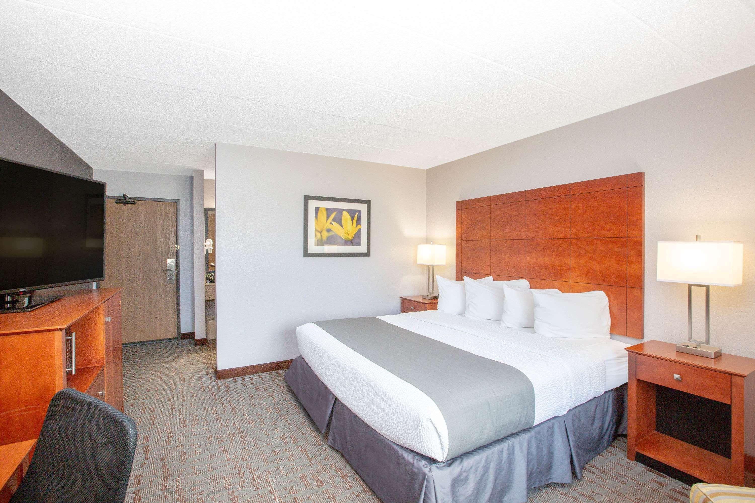 Grand Master, Suite, King Bed