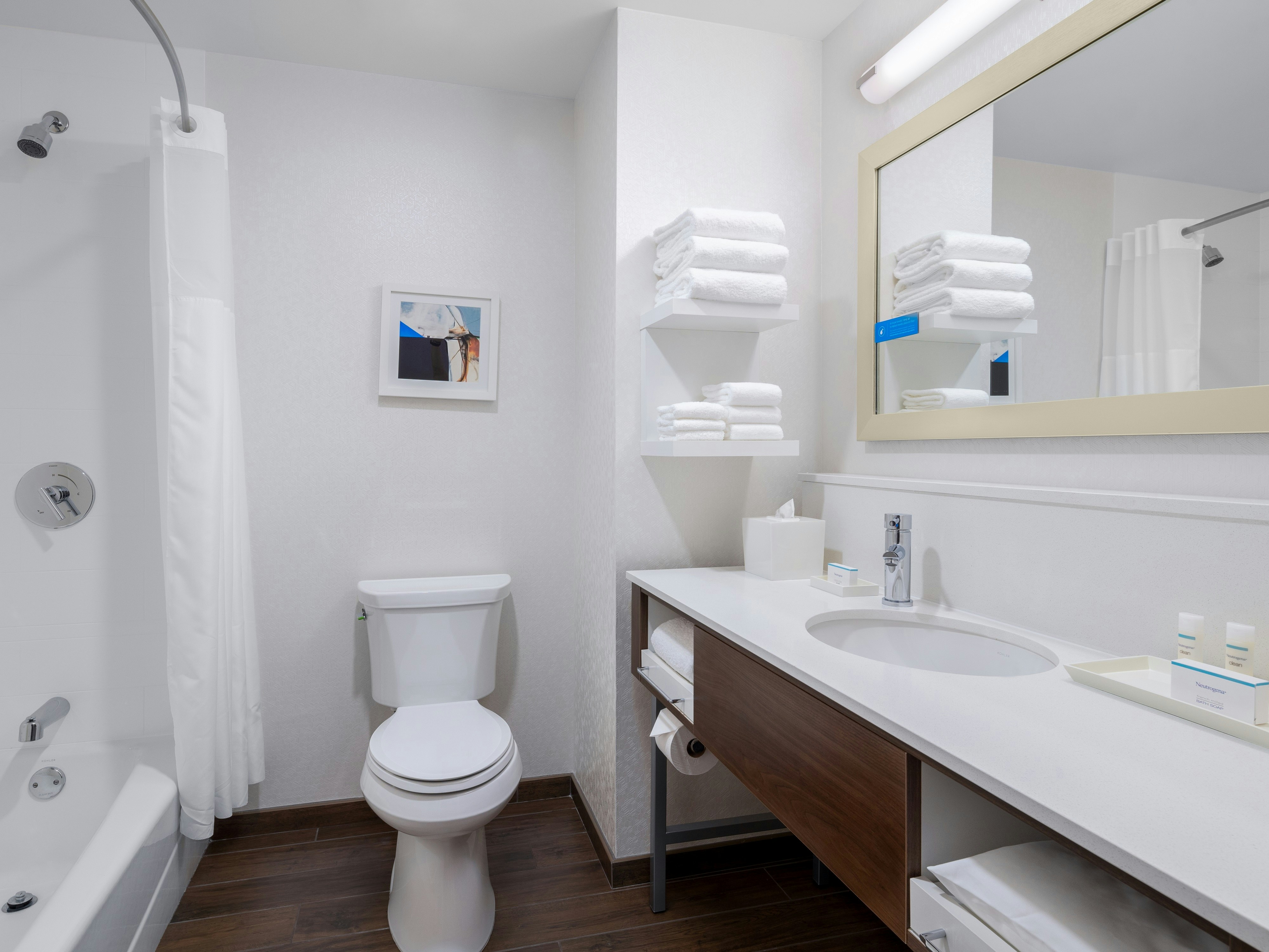 Hampton Inn Chicago Mccormick Place Il 77/80