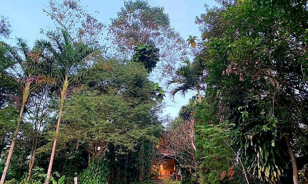 Aum Hum Homestay 43/50