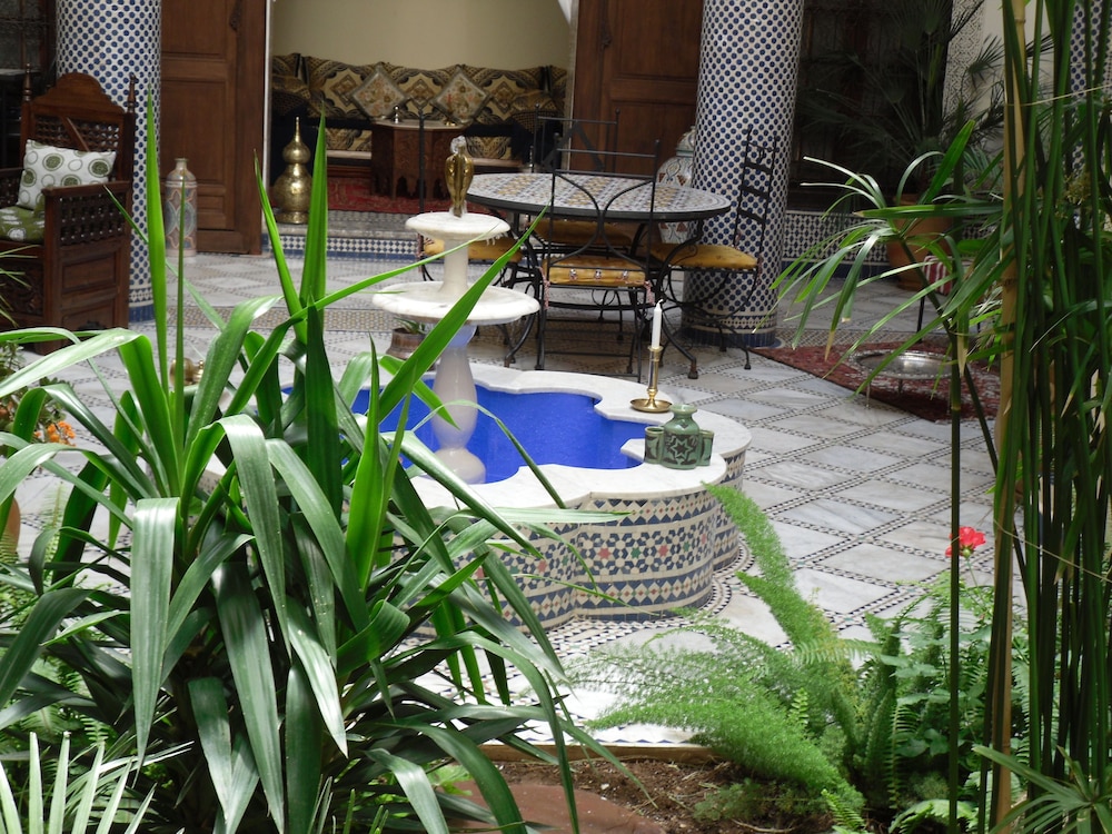Riad Letchina 43/50