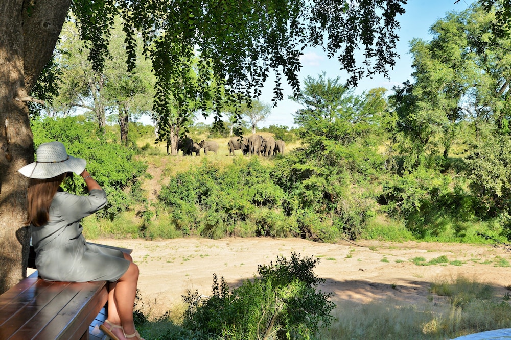 Imbali Safari Lodge 19/31