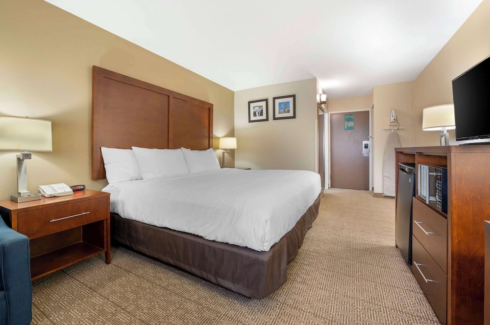 Upgrade, Suite, King Bed