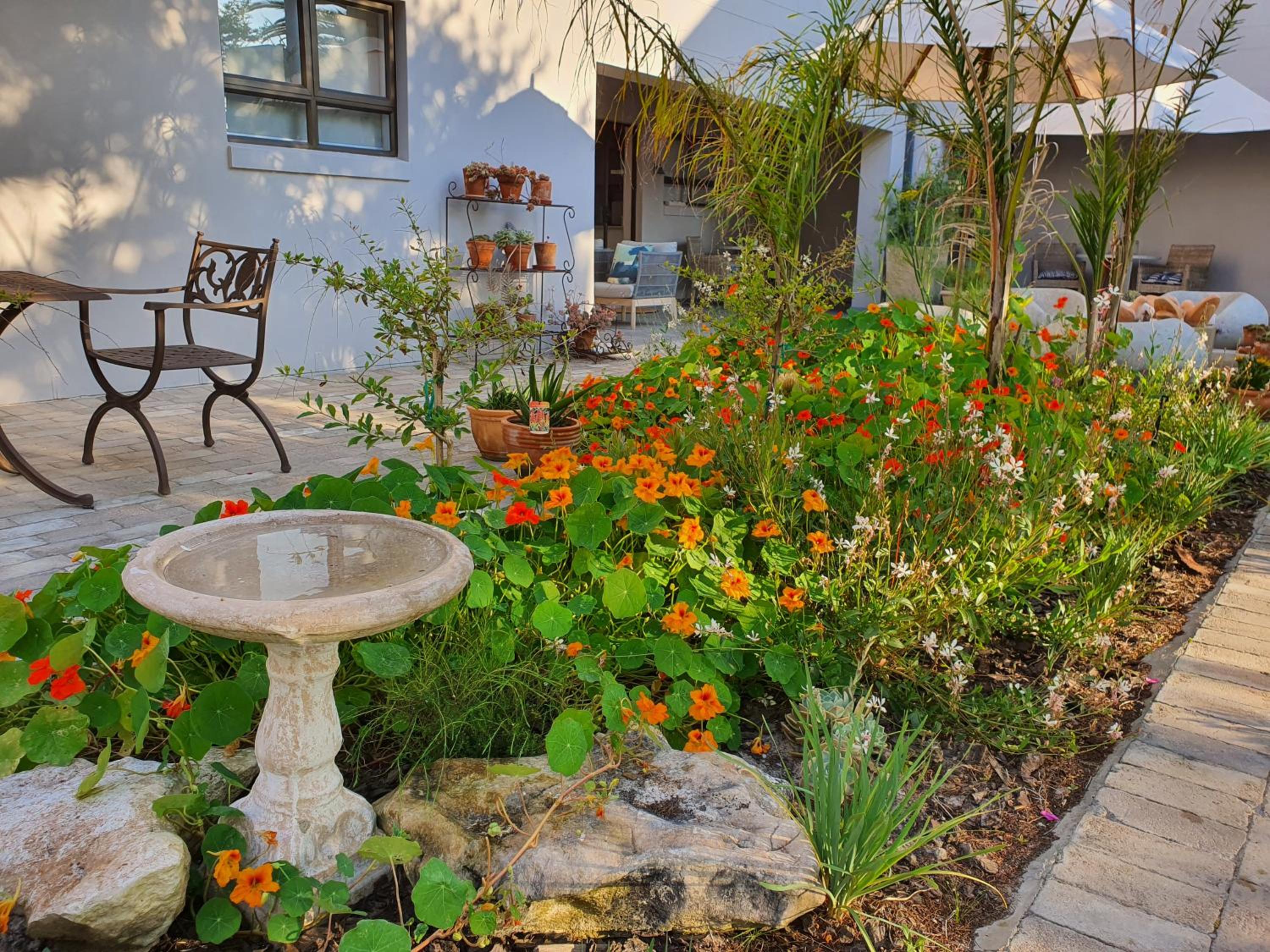 Albatross Guest House 40/40
