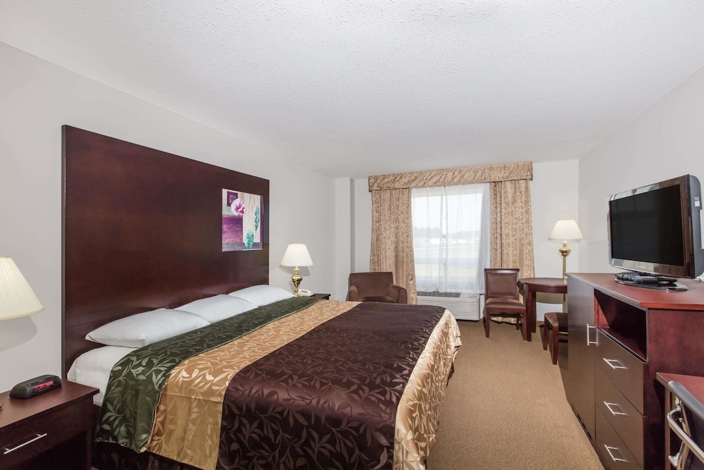 Studio, Suite, Queen Bed