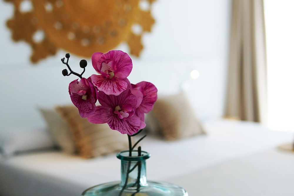 Apartamentos Typic Marina Playa - Adults Only 23/50