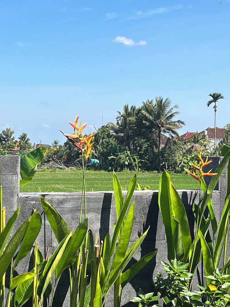 Uma Padi Villa 69/75