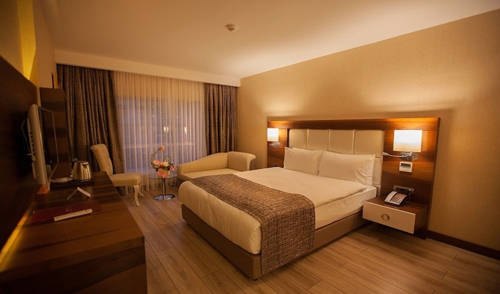 Mittania Regency Hotel 10/33