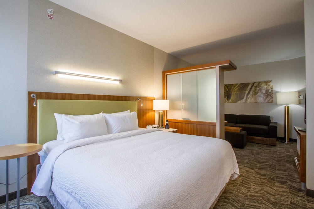 SpringHill Suites by Marriott San Angelo 7/50