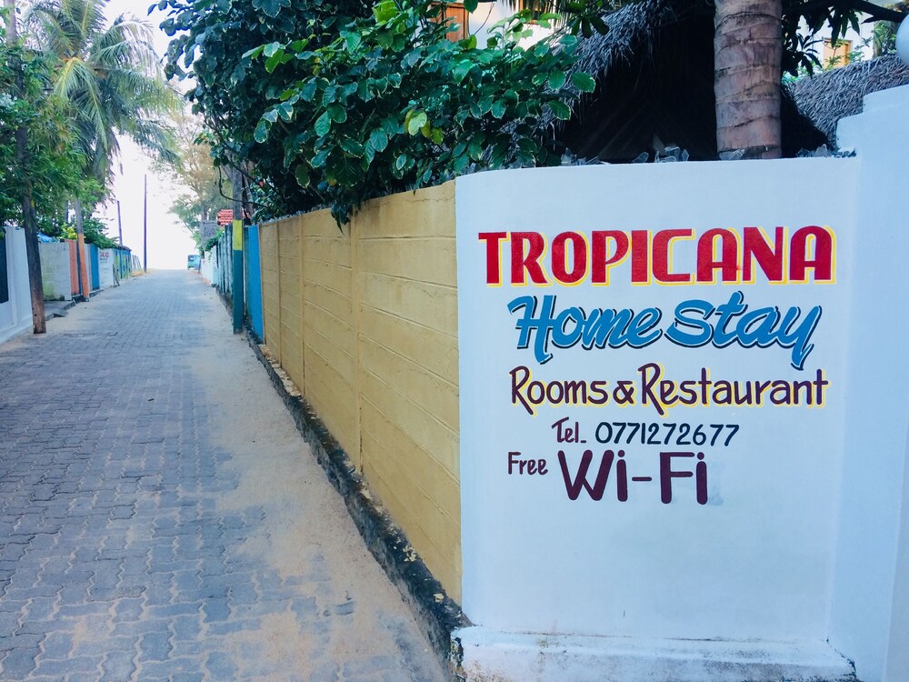 Tropicana Homestay 8/37