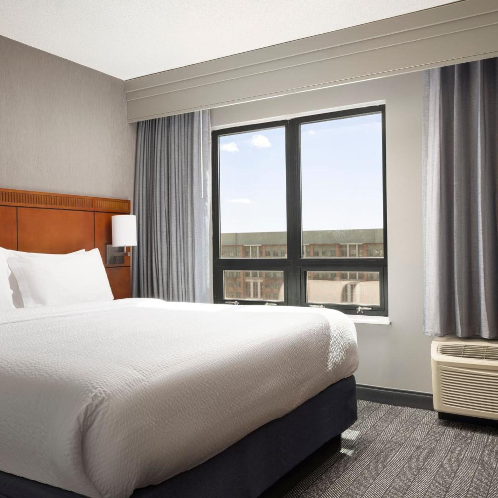 Suite, King Bed, Sofa