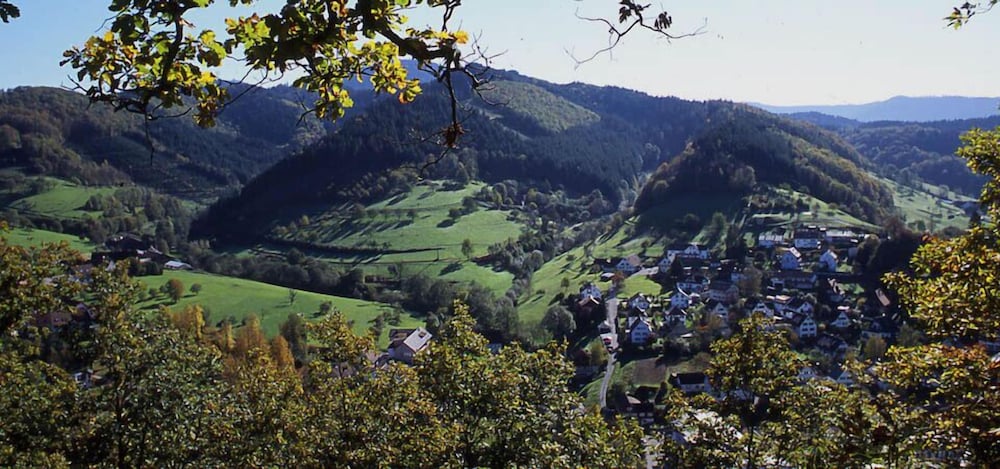 Gasthof Blume 44/50