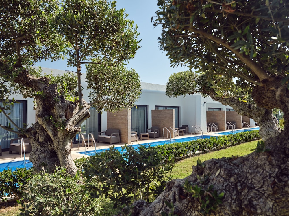 Cavo Orient Beach Hotel 35/50