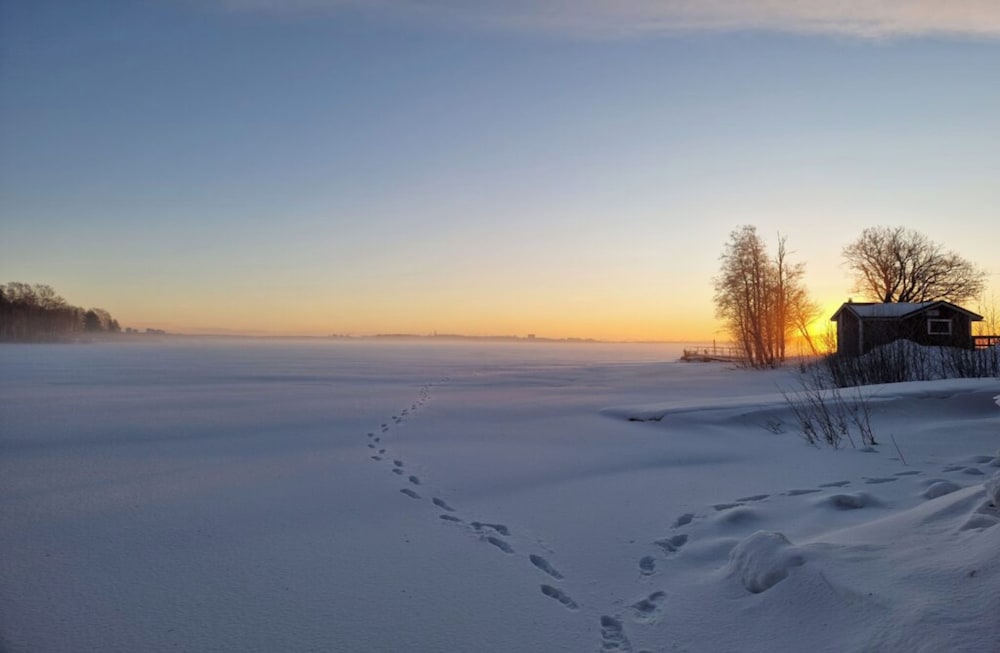 First Camp Luleå 40/47
