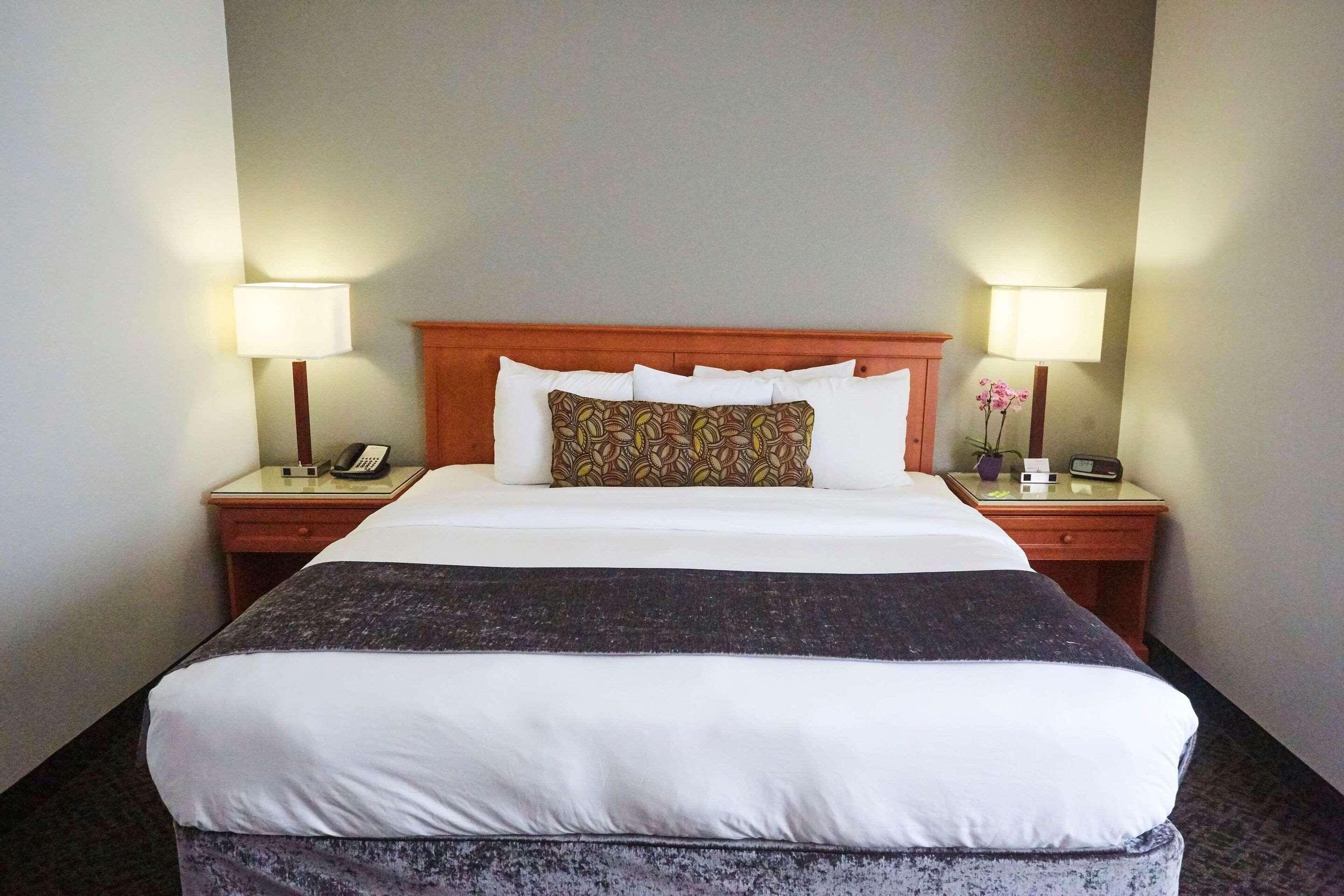 SUITE, KING BED