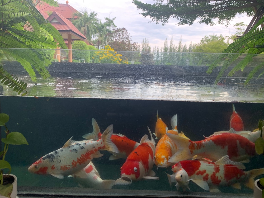 Ruen Sam Ran Resort 34/34