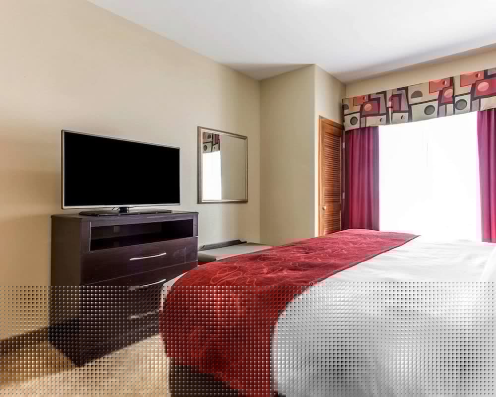 Comfort Suites Stockbridge Atlanta South 14/39