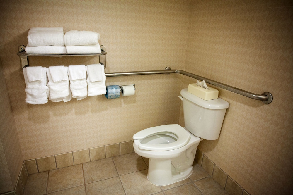 Hampton Inn Carrollton, GA 33/75