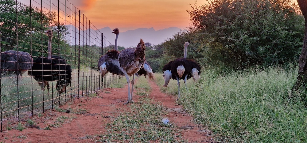 Thandolwami Bushlodge & Spa 23/26