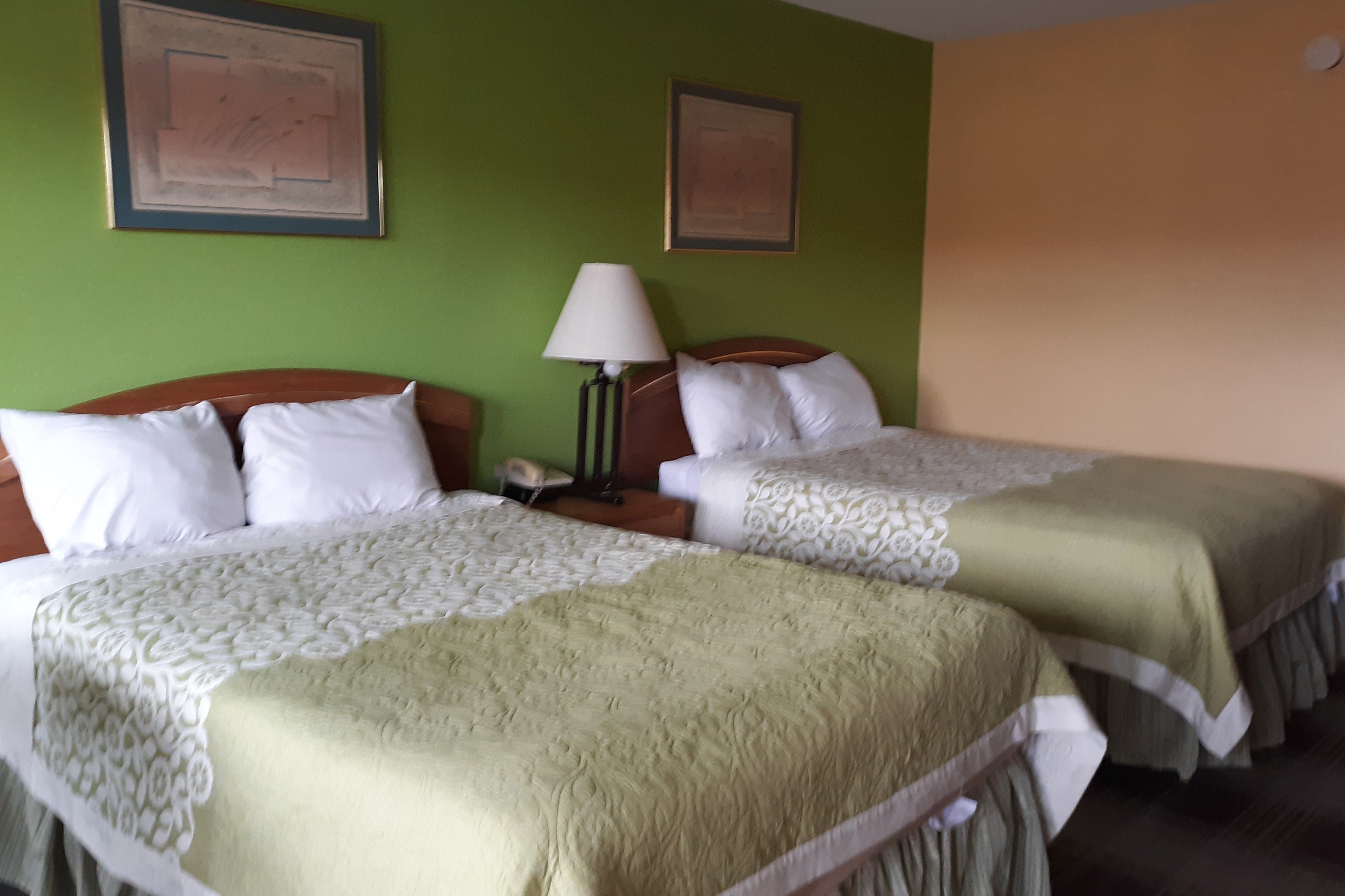 OYO Hotel Williamston 16/48