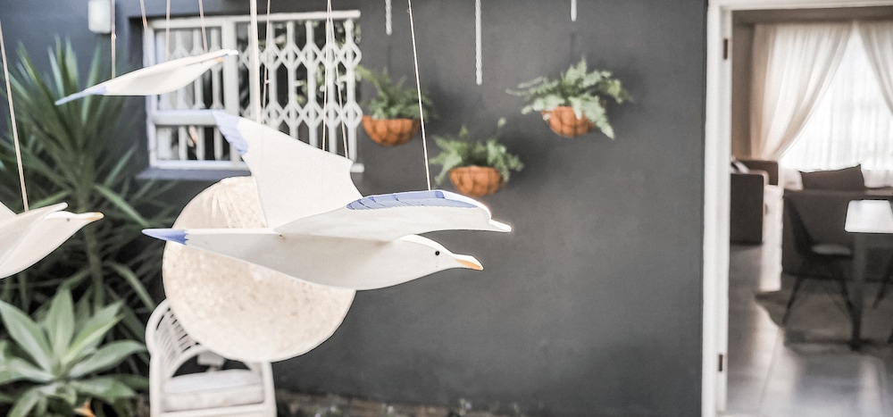 The Seagull Hermanus 9/50