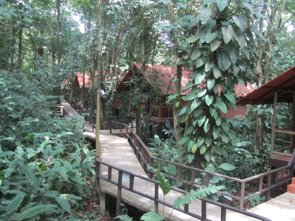 Hotel Rana Roja Lodge 13/50