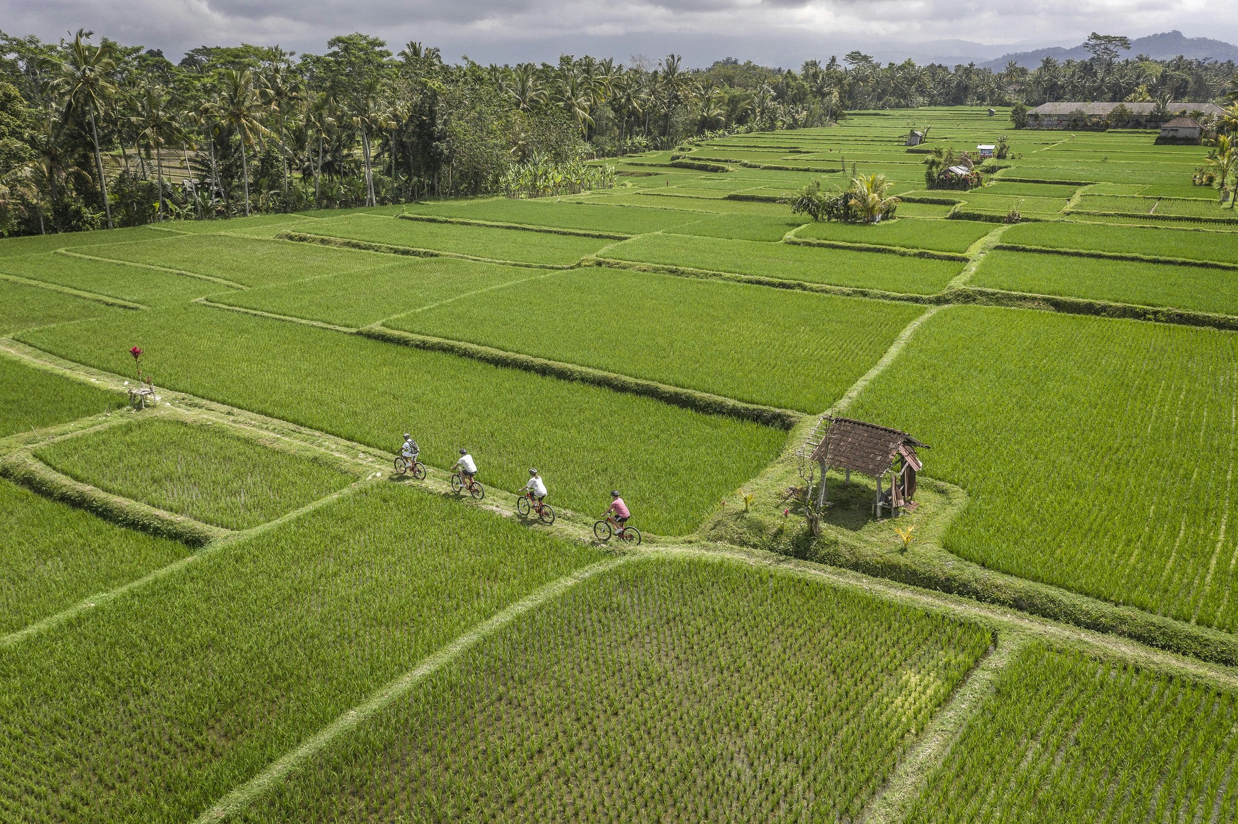 Four Seasons Resort Bali at Sayan 37/84