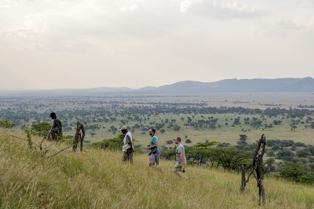 Serengeti Serena Safari Lodge 45/58