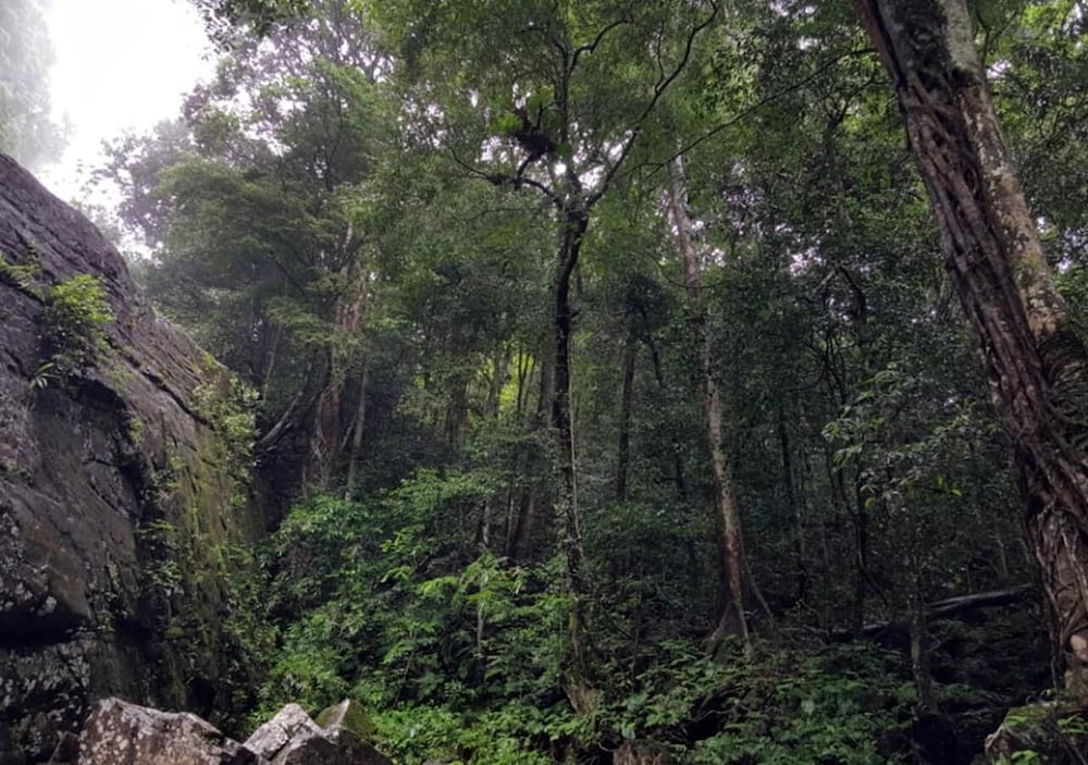 Sinharaja Rainforest View Villas 40/50