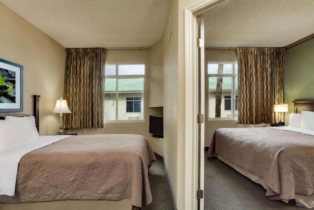 Upgrade, Suite, King and Queen Bed