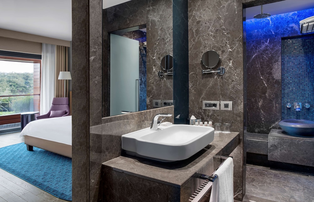 Radisson Blu Hotel And Spa Istanbul Tuzla 24/81