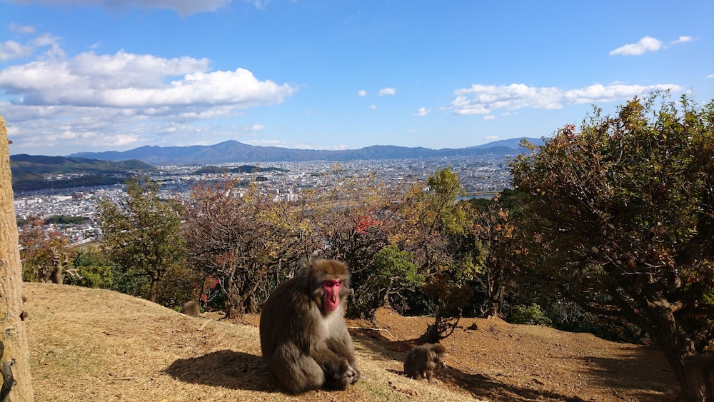 R&Run Kyoto Serviced Apartment & Suites 66/70