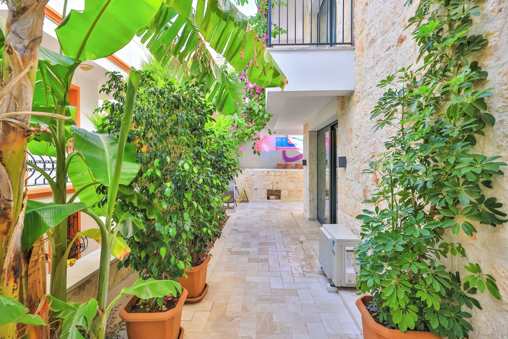Sole Suites 41/49