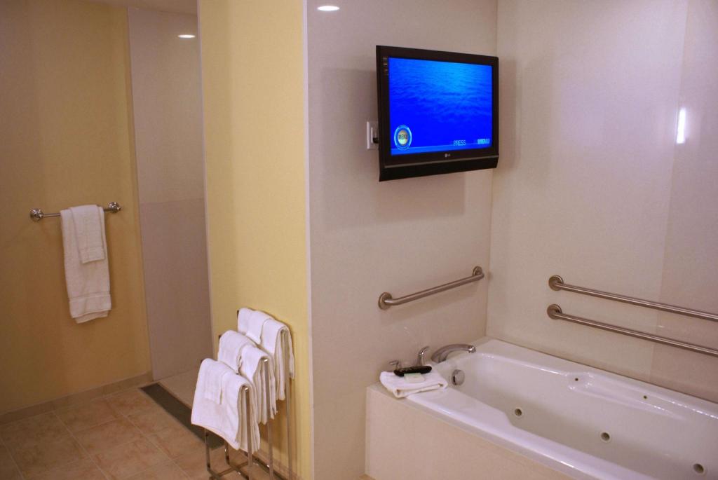 1 BEDROOM, PRESIDENTIAL, SUITE, KING BED, HOT TUB
