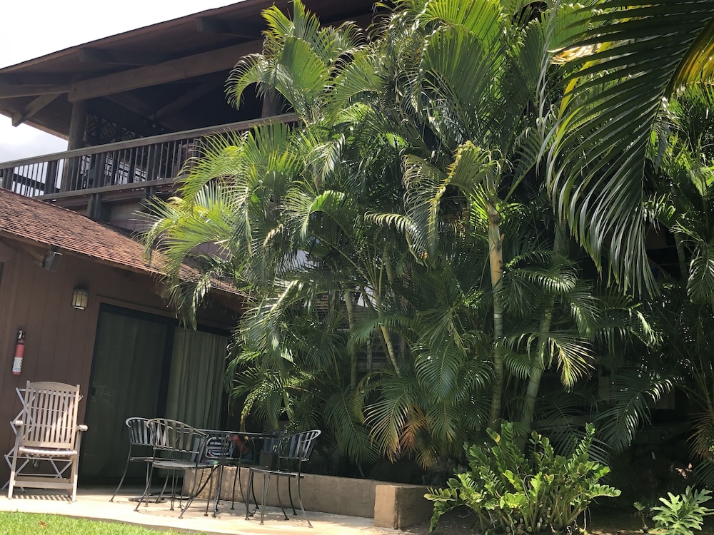 maui what a wonderful world b and b hawaii