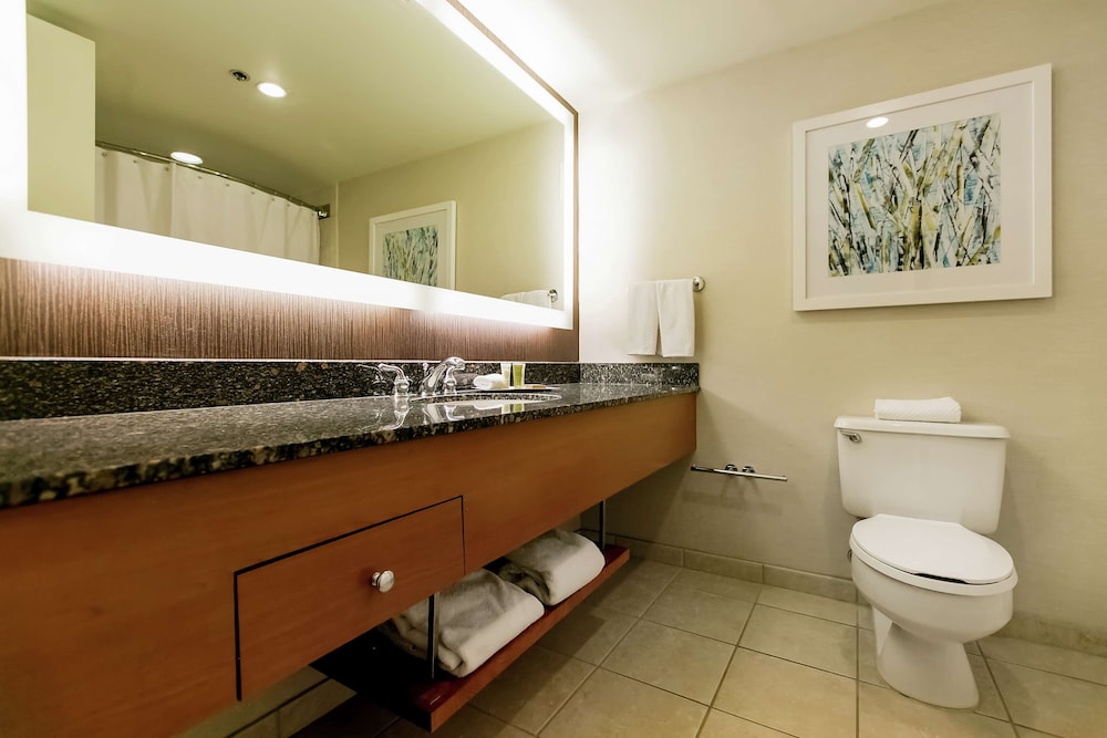غرفة قياسية بسريرين كوين بإطلالة على الجبل، Hilton Salt Lake City Center 5/5