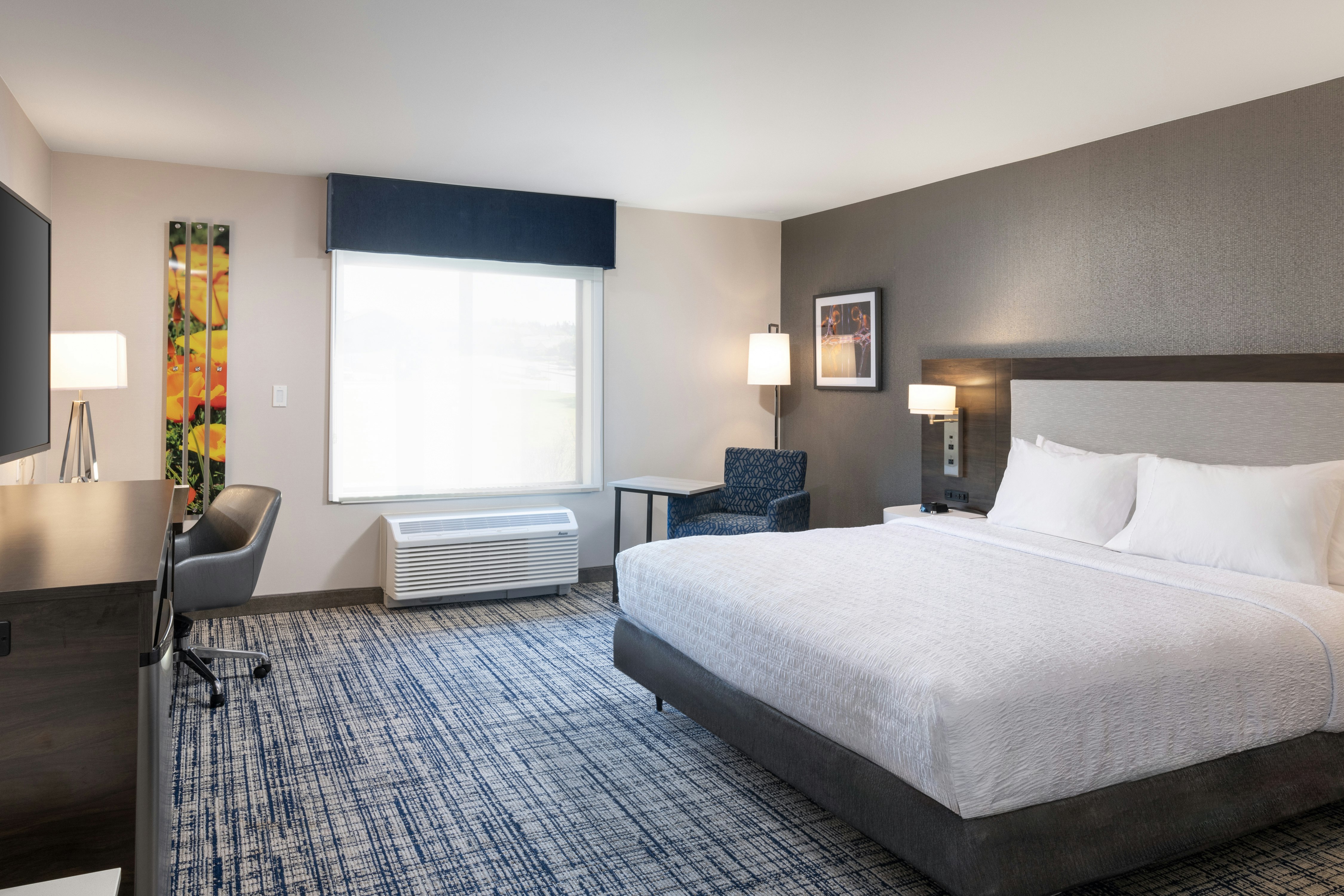 Studio, King Bed, Accessible