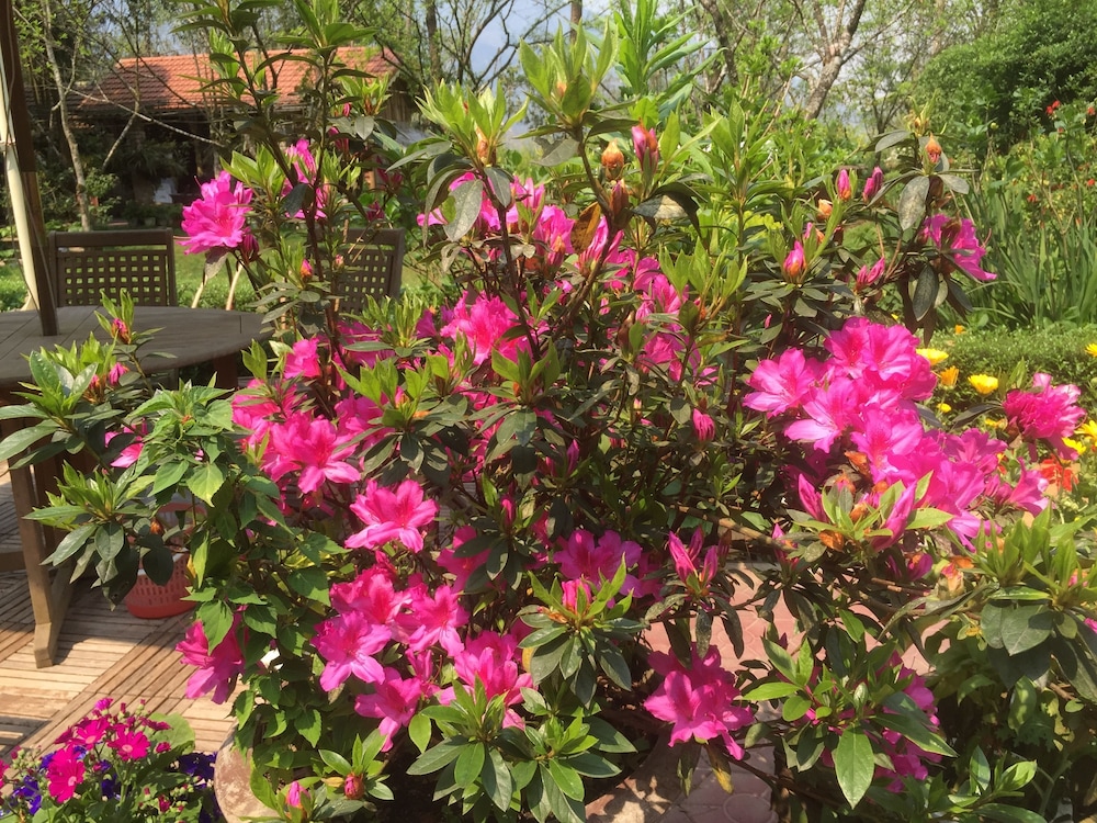 Sapa Garden Bed and Breakfast 53/73