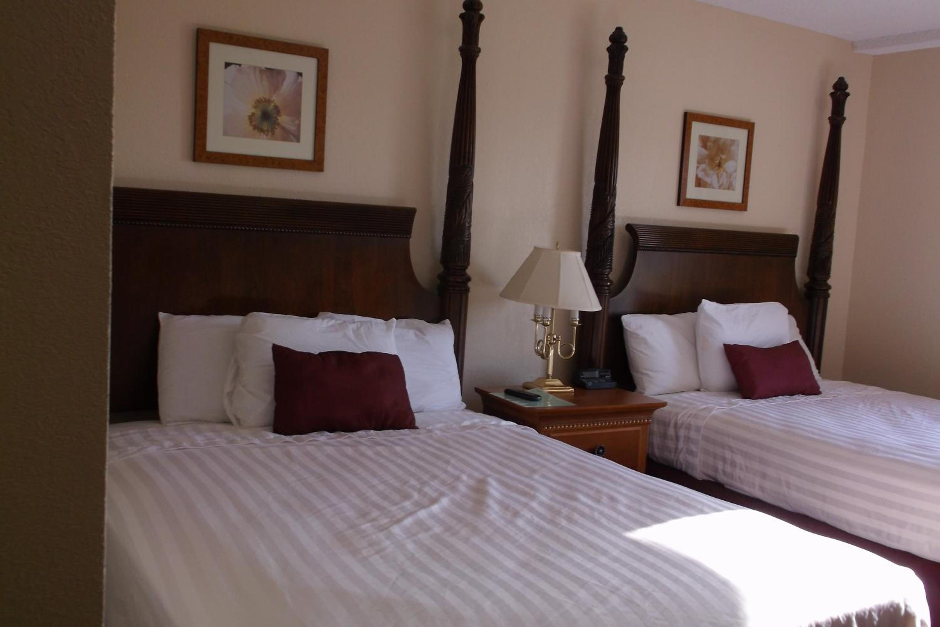 Studio, Queen Bed, Water View