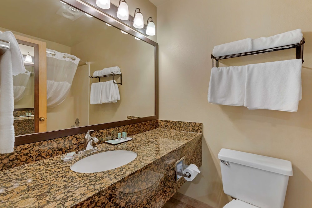 BEST WESTERN PONDEROSA LODGE 13/41