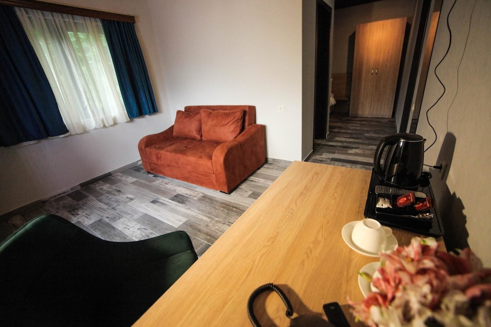 Borjomi Underwood Hotel 36/60