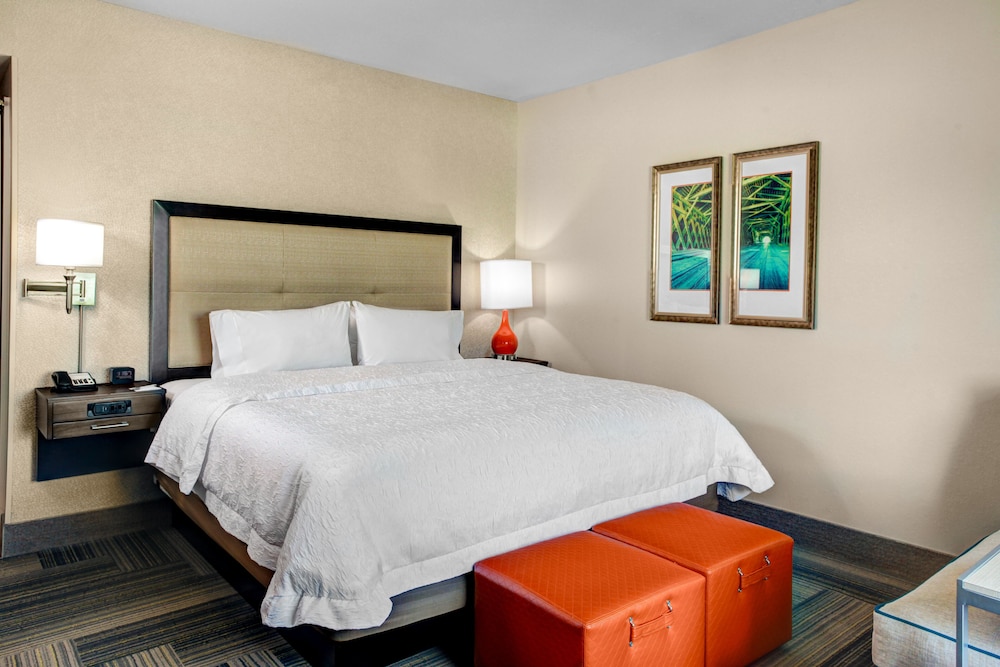 Hampton Inn & Suites By Hilton Atlanta Perimeter Dunwoody 11/41