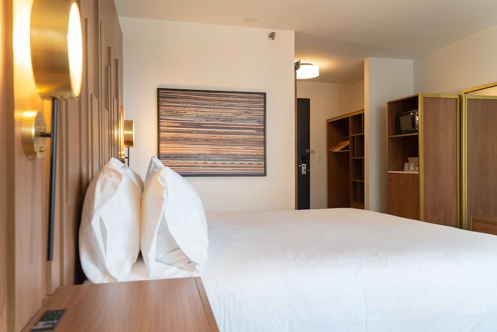 Hotel Indigo Detroit Downtown 30/71