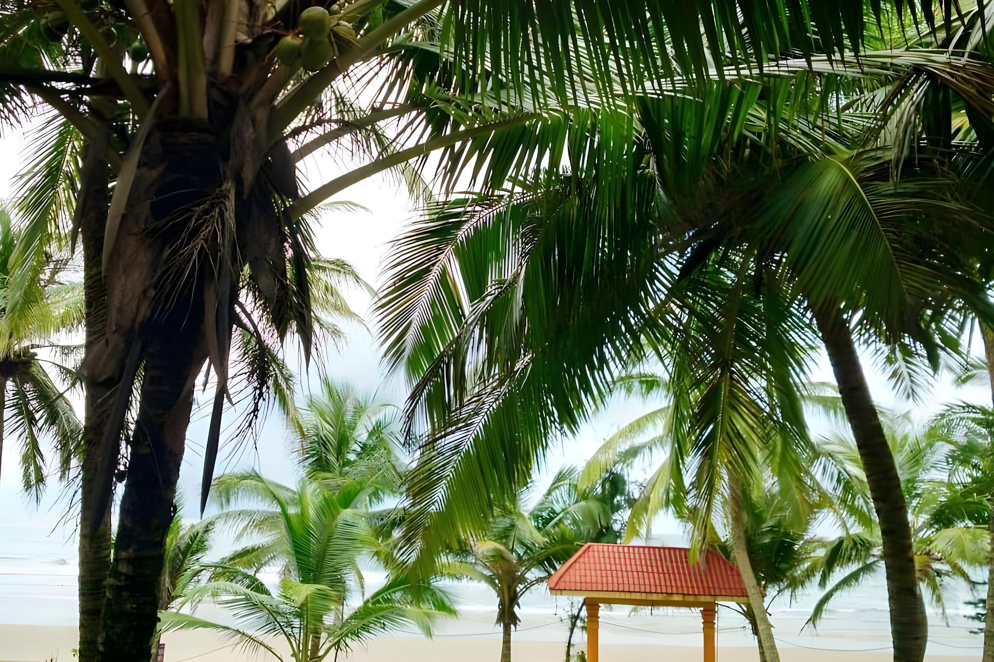 Gokarna International Beach Resort 16/21