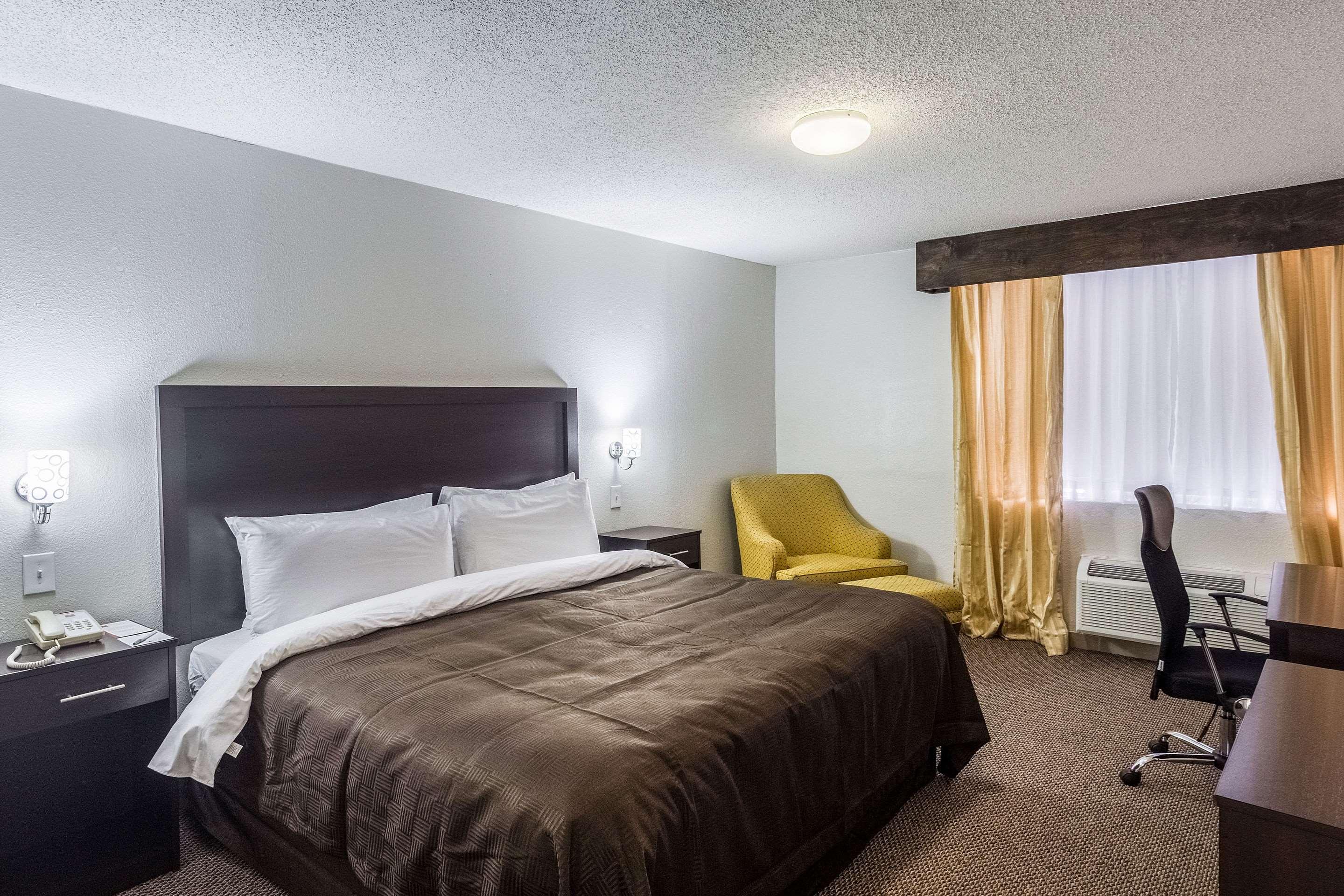 SUITE, KING BED