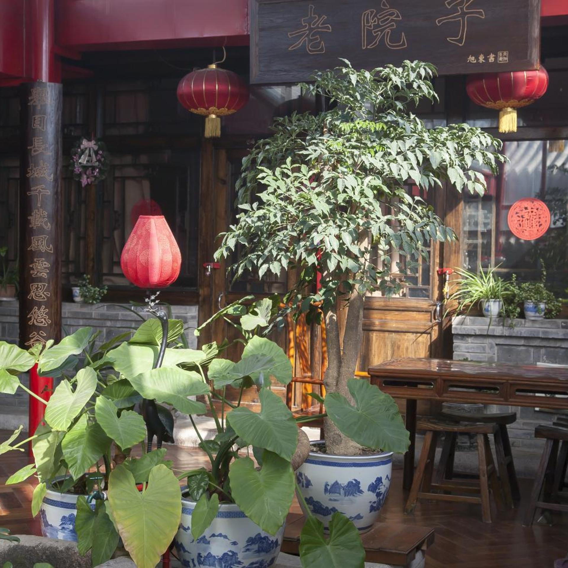 The Great Wall Courtyard Hostel 36/43