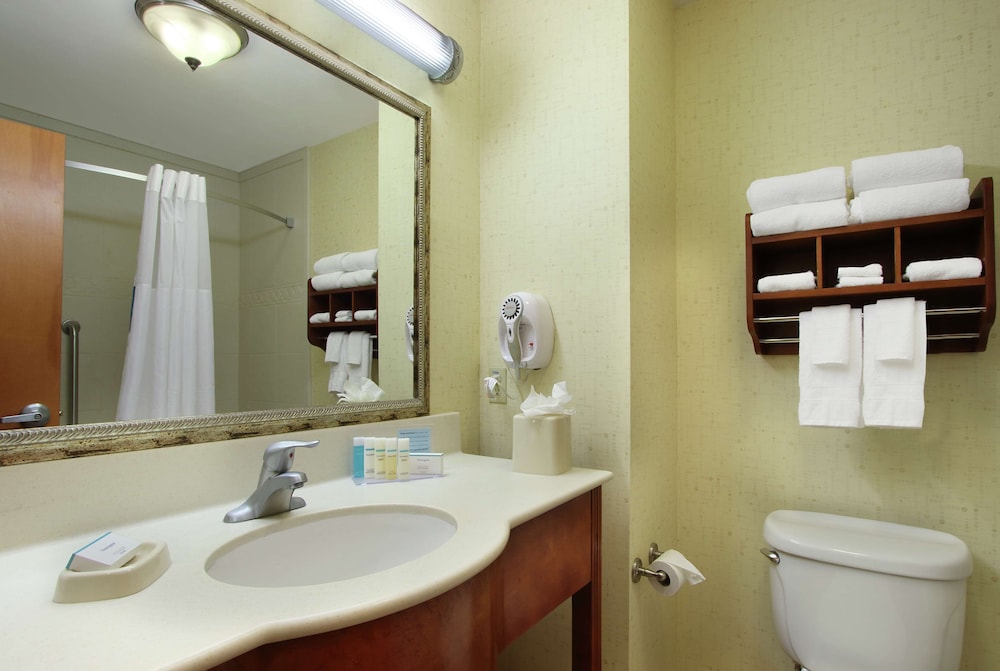 Hampton Inn And Suites Buffalo Tx 22/65