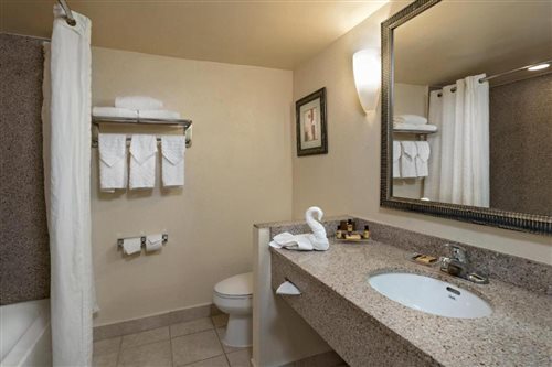 Room, King Bed, Bathtub, Accessible
